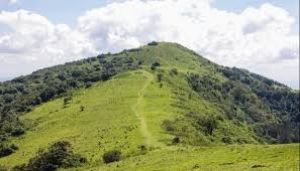 Ngong Hills National Reserve